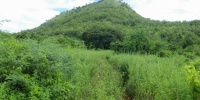 957_full_10.jpg