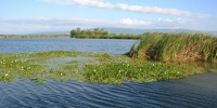 1027_full_10.jpg