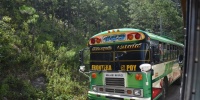 973_full_2.jpg