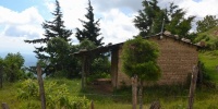 973_full_5.jpg