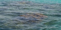 1001_full_2.jpg