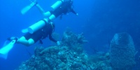1005_full_0.jpg