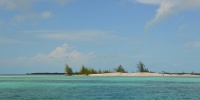 1009_full_1.jpg