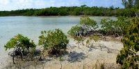 1009_full_7.jpg