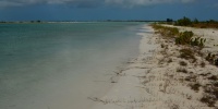 1009_full_9.jpg