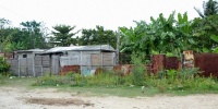 1011_full_40.jpg