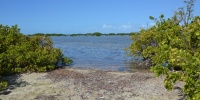 1023_full_3.jpg