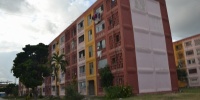 1037_full_12.jpg