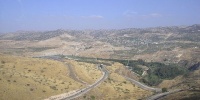 226_full_7.jpg