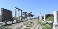 199_full_1.jpg