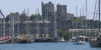 208_full_1.jpg