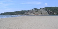 210_full_1.jpg