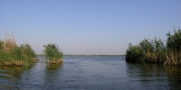 323_full_10.jpg