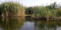 323_full_11.jpg