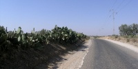 379_full_8.jpg