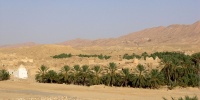 380_full_28.jpg
