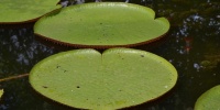 477_full_8.jpg
