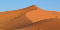 431_full_10.jpg