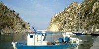 268_full_7.jpg