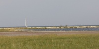 316_full_3.jpg