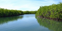 651_full_0.jpg