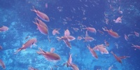587_full_12.jpg