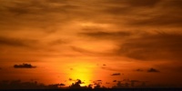 789_full_8.jpg