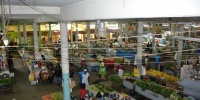 1235_full_7.jpg