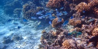 1,(123).jpg