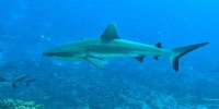 GOPR3366.jpg