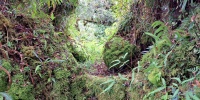 8 (20).jpg
