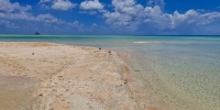 1(343).jpg