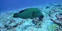 1(663).jpg