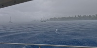1 (719).jpg