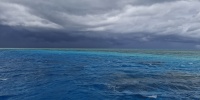 1 (723).jpg